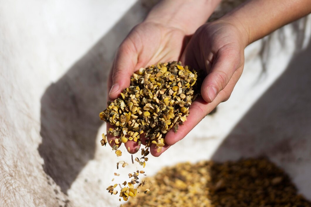 Czy kolekcjonowanie nasion konopi to nowy trend wśród hobbystów?