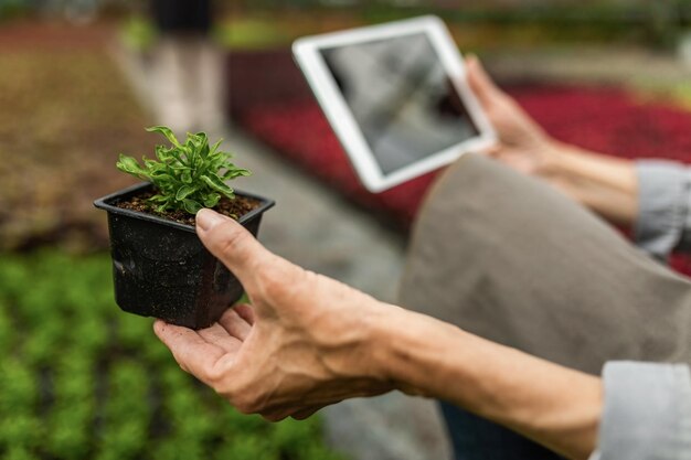 Innowacyjne podejścia do zrównoważonego rozwoju w agrobiznesie